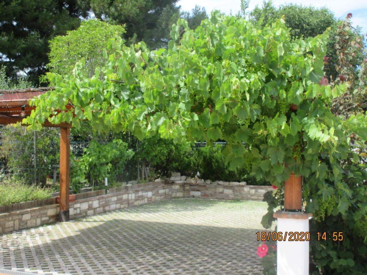 B&B Capo Le Vigne Sirolo Exteriér fotografie